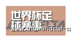 世界杯足球赛事合作伙伴六