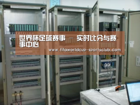 世界杯足球赛事案例展示五