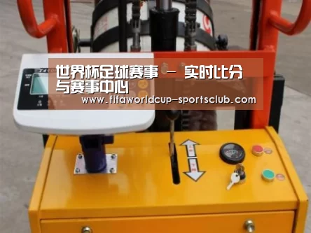 世界杯足球赛事案例展示三