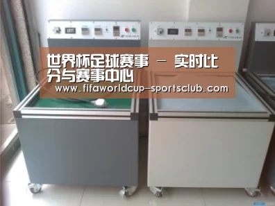 世界杯足球赛事案例展示二