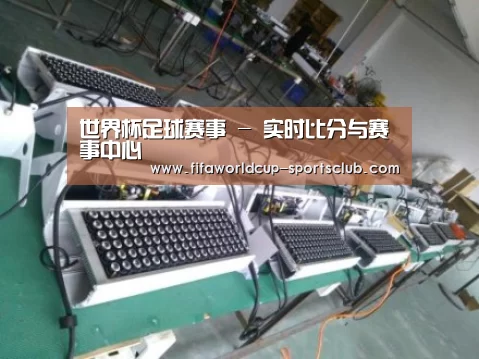 世界杯足球赛事案例展示一