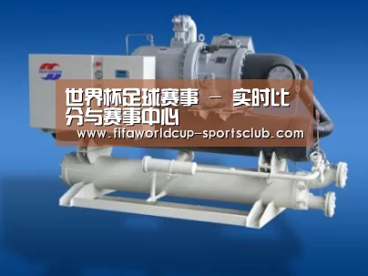 世界杯足球赛事案例展示四