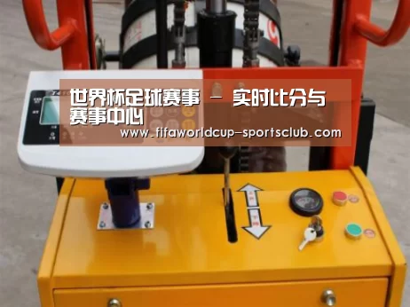 世界杯足球赛事案例展示三(图1)