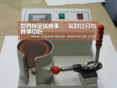 世界杯足球赛事案例展示六