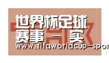 世界杯足球赛事合作伙伴二