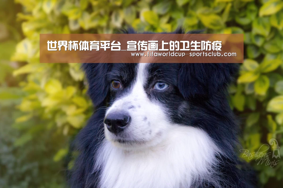 世界杯体育平台_宣传画上的卫生防疫(图1) 世界杯实时比分