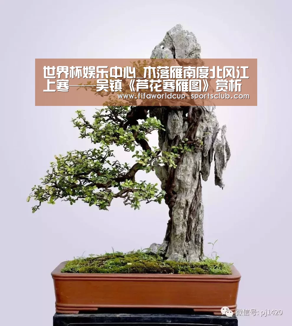 世界杯娱乐中心_木落雁南度北风江上寒——吴镇《芦花寒雁图》赏析(图1) 世界杯实时比分