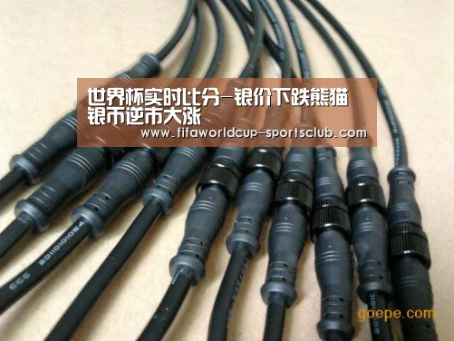 世界杯娱乐中心